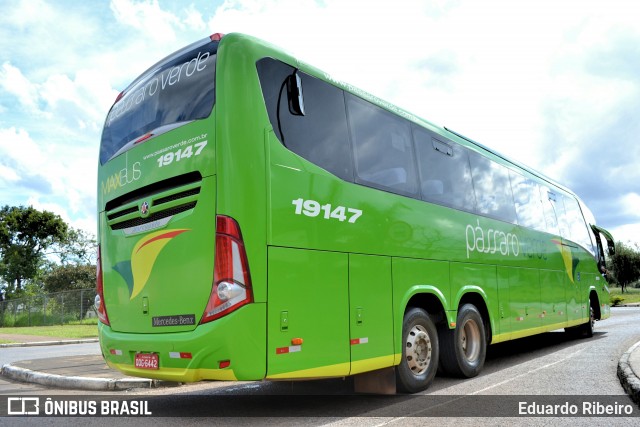 Pássaro Verde 19147 na cidade de Brasília, Distrito Federal, Brasil, por Eduardo Ribeiro. Número da foto: #7696911.