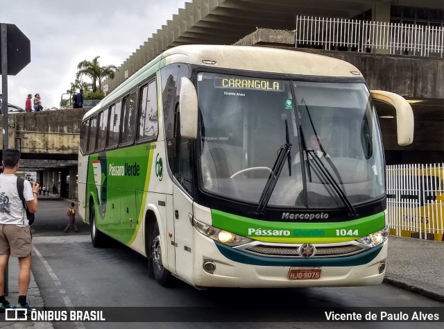 Pássaro Verde 1044 na cidade de Belo Horizonte, Minas Gerais, Brasil, por Vicente de Paulo Alves. ID da foto: 7697227.