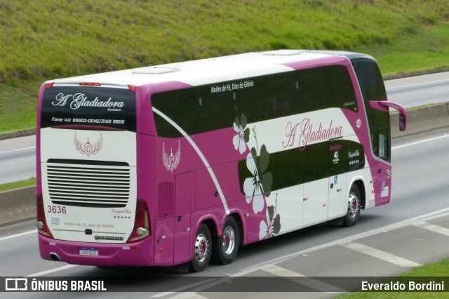 A Gladiadora Turismo 3636 na cidade de São José dos Campos, São Paulo, Brasil, por Everaldo Bordini. Número da foto: #7697236.