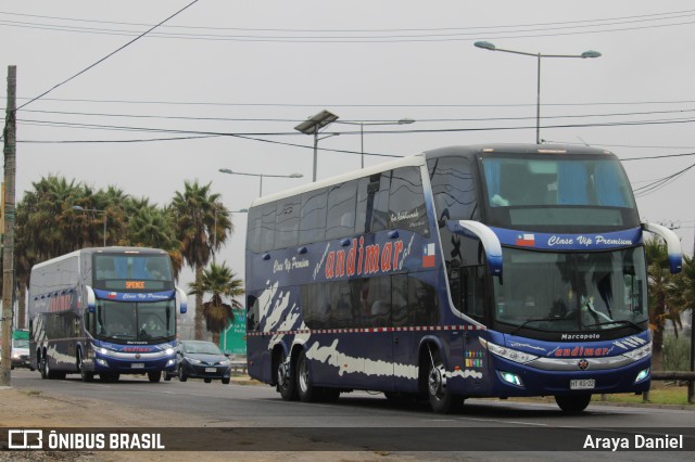 Andimar  na cidade de Coquimbo, Elqui, Coquimbo, Chile, por Araya Daniel . Número da foto: #7702728.