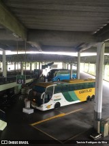 Terminais Rodoviários e Urbanos  na cidade de Recife, Pernambuco, Brasil, por Tarcisio Rodrigues da Silva. Número da foto: #7703575.