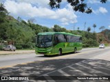 Pássaro Verde 19169 na cidade de Sabará, Minas Gerais, Brasil, por Tarcisio Rodrigues da Silva. Número da foto: #7703741.