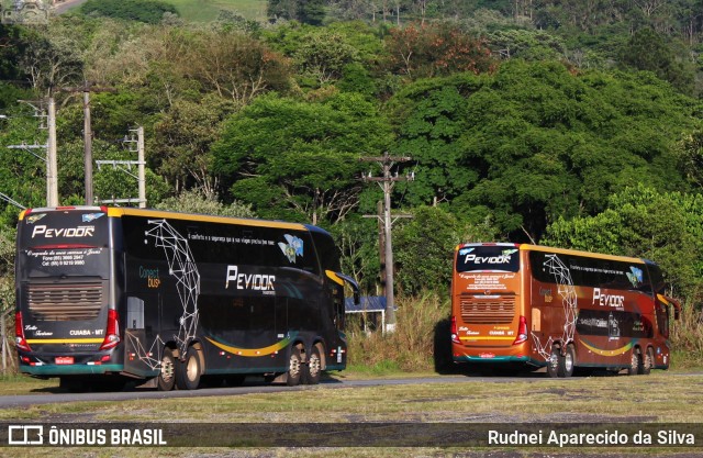 Pevidor Transportes P20101828 na cidade de São Paulo, São Paulo, Brasil, por Rudnei Aparecido da Silva. ID da foto: 7706371.