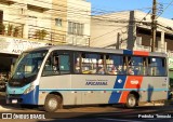 VAL - Viação Apucarana Ltda. 0919 na cidade de Apucarana, Paraná, Brasil, por Pedroka Ternoski. Número da foto: #:id.