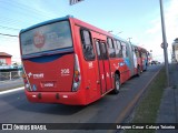Viação Tindiquera 208 na cidade de Araucária, Paraná, Brasil, por Mayron Cesar  Colaço Teixeira. Número da foto: #7792268.