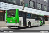 Viação Santa Brígida 1 1334 na cidade de São Paulo, São Paulo, Brasil, por Eduardo Ribeiro. Número da foto: #7819677.