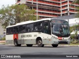 Borborema Imperial Transportes 893 na cidade de Recife, Pernambuco, Brasil, por Samuel Júnior. ID da foto: :id.