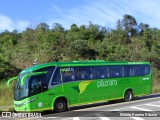Pássaro Verde 19161 na cidade de Ouro Preto, Minas Gerais, Brasil, por Eloísio Pereira Ribeiro. Número da foto: #:id.