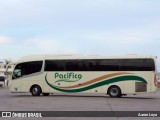 Transportes del Pacifico 6665 na cidade de Mazatlán, Sinaloa, México, por Aaron Loya. Número da foto: #7826299.