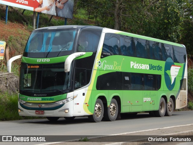 Pássaro Verde 12120 na cidade de Viçosa, Minas Gerais, Brasil, por Christian  Fortunato. Número da foto: #7831056.