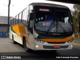 Rouxinol 1666 na cidade de Contagem, Minas Gerais, Brasil, por Adão Raimundo Marcelino. ID da foto: :id.