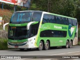 Pássaro Verde 12120 na cidade de Viçosa, Minas Gerais, Brasil, por Christian  Fortunato. Número da foto: #7831056.