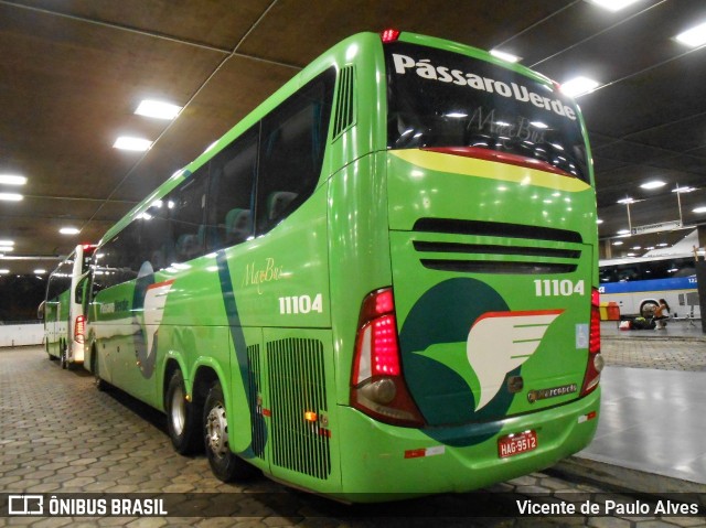Pássaro Verde 11104 na cidade de Belo Horizonte, Minas Gerais, Brasil, por Vicente de Paulo Alves. Número da foto: #7840799.