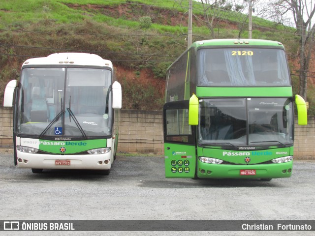 Pássaro Verde 2120 na cidade de Viçosa, Minas Gerais, Brasil, por Christian  Fortunato. ID da foto: 7841592.