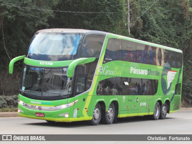 Pássaro Verde 12119 na cidade de Viçosa, Minas Gerais, Brasil, por Christian  Fortunato. Número da foto: #7841588.