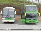 Pássaro Verde 2120 na cidade de Viçosa, Minas Gerais, Brasil, por Christian  Fortunato. Número da foto: #7841592.