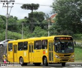 Viação Santo Ângelo 18293 na cidade de Curitiba, Paraná, Brasil, por Cleber Gumz. Número da foto: #7795014.