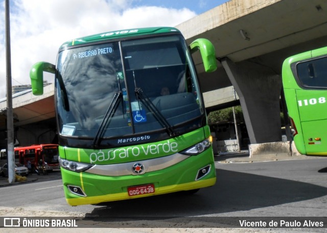 Pássaro Verde 19152 na cidade de Belo Horizonte, Minas Gerais, Brasil, por Vicente de Paulo Alves. ID da foto: 7857216.