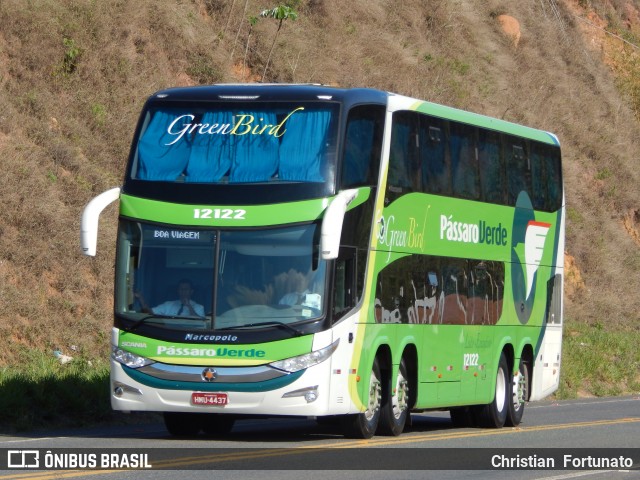 Pássaro Verde 12122 na cidade de Coimbra, Minas Gerais, Brasil, por Christian  Fortunato. Número da foto: #7862916.