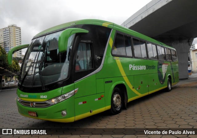 Pássaro Verde 1042 na cidade de Belo Horizonte, Minas Gerais, Brasil, por Vicente de Paulo Alves. ID da foto: 7866464.