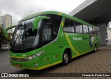 Pássaro Verde 1042 na cidade de Belo Horizonte, Minas Gerais, Brasil, por Vicente de Paulo Alves. Número da foto: #7866464.