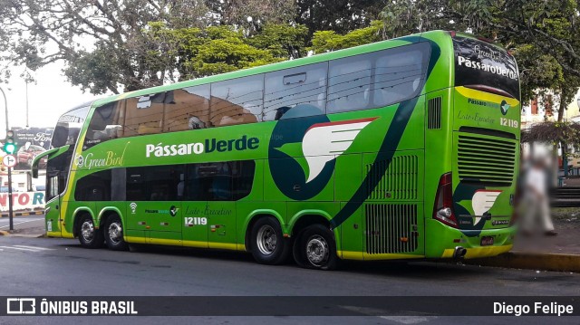 Pássaro Verde 12119 na cidade de Formiga, Minas Gerais, Brasil, por Diego Felipe. Número da foto: #7873741.