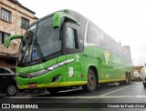 Pássaro Verde 19153 na cidade de Belo Horizonte, Minas Gerais, Brasil, por Vicente de Paulo Alves. Número da foto: #7874513.