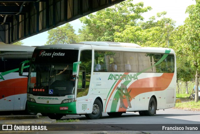 Empresa de Transportes Andorinha 6001 na cidade de Assis, São Paulo, Brasil, por Francisco Ivano. Número da foto: #7800729.
