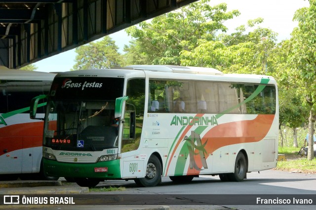 Empresa de Transportes Andorinha 6001 na cidade de Assis, São Paulo, Brasil, por Francisco Ivano. ID da foto: 7800729.