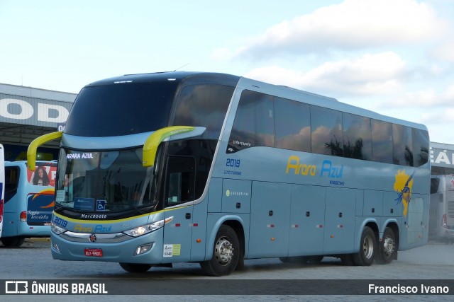 Arara Azul Transportes 2019 na cidade de Balneário Camboriú, Santa Catarina, Brasil, por Francisco Ivano. ID da foto: 7880277.