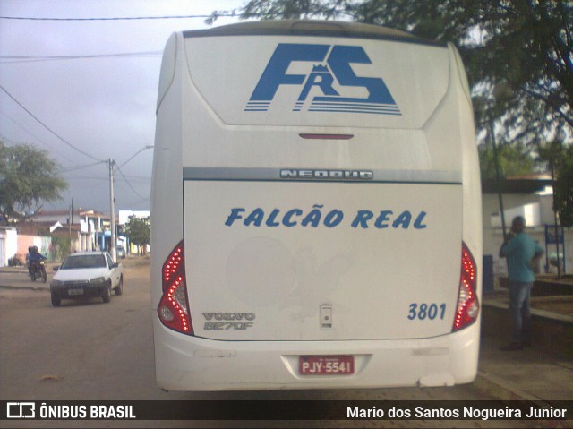 Falcão Real 3801 na cidade de Piritiba, Bahia, Brasil, por Mario dos Santos Nogueira Junior. Número da foto: #7882814.