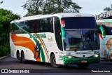 Empresa de Transportes Andorinha 5594 na cidade de Presidente Prudente, São Paulo, Brasil, por Francisco Ivano. Número da foto: #7885563.