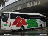 Monte Alegre Agência de Turismo 2080 na cidade de São Paulo, São Paulo, Brasil, por Manoel Junior. Número da foto: #7883962.