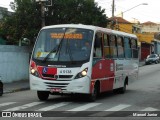 Allibus Transportes 4 5138 na cidade de São Paulo, São Paulo, Brasil, por Manoel Junior. Número da foto: #7882629.