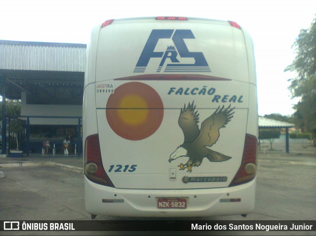 Falcão Real 1215 na cidade de Piritiba, Bahia, Brasil, por Mario dos Santos Nogueira Junior. Número da foto: #7809019.