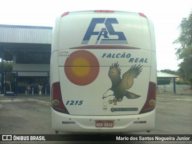 Falcão Real 1215 na cidade de Piritiba, Bahia, Brasil, por Mario dos Santos Nogueira Junior. ID da foto: 7809019.