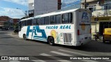 Falcão Real 1130 na cidade de Capim Grosso, Bahia, Brasil, por Mario dos Santos Nogueira Junior. Número da foto: #:id.