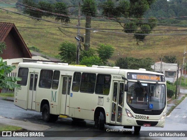 Viação Castelo Branco 25003 na cidade de Campina Grande do Sul, Paraná, Brasil, por Gabriel Machado. ID da foto: 7818028.