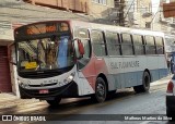 Viação Sul Fluminense RJ 202.034 na cidade de Volta Redonda, Rio de Janeiro, Brasil, por Matheus Martins da Silva. Número da foto: #7817194.