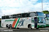 Empresa de Transportes Andorinha 5320 na cidade de Assis, São Paulo, Brasil, por Francisco Ivano. Número da foto: #7818995.