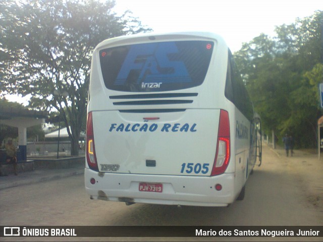 Falcão Real 1505 na cidade de Piritiba, Bahia, Brasil, por Mario dos Santos Nogueira Junior. ID da foto: 7888302.