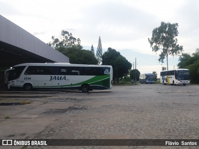 Viação Jauá 2336 na cidade de Cruz das Almas, Bahia, Brasil, por Flávio  Santos. Número da foto: #7915930.