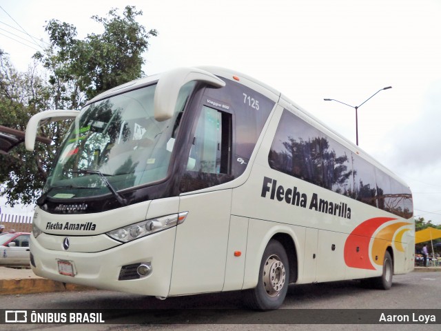 Flecha Amarilla 7125 na cidade de Morelia, Michoacán, México, por Aaron Loya. ID da foto: 7916918.