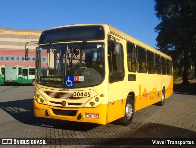 Independência > Trans Oeste Transportes 30445 na cidade de Belo Horizonte, Minas Gerais, Brasil, por Viavel Transportes. ID da foto: 7919074.