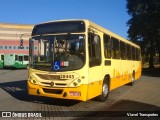 Independência > Trans Oeste Transportes 30445 na cidade de Belo Horizonte, Minas Gerais, Brasil, por Viavel Transportes. Número da foto: #7919074.