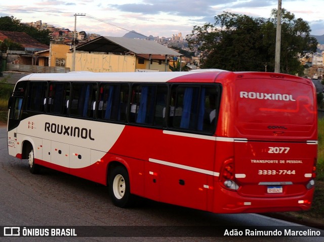 Rouxinol 2077 na cidade de Belo Horizonte, Minas Gerais, Brasil, por Adão Raimundo Marcelino. Número da foto: #7930134.