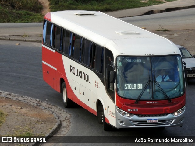 Rouxinol 1633 na cidade de Belo Horizonte, Minas Gerais, Brasil, por Adão Raimundo Marcelino. Número da foto: #7929987.