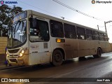 TSL Transportes 6690 na cidade de Sarzedo, Minas Gerais, Brasil, por Juan Pablo. ID da foto: :id.