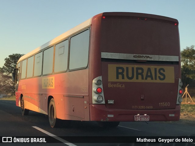 Transportadora Turística Benfica 11560 na cidade de Fernandópolis, São Paulo, Brasil, por Matheus  Geyger de Melo. Número da foto: #7937309.