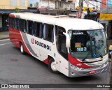 Rouxinol 440 na cidade de Belo Horizonte, Minas Gerais, Brasil, por Júlio César. Número da foto: #7938623.